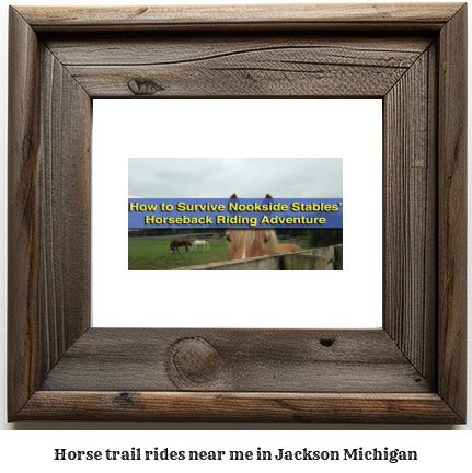 horse trail rides near me in Jackson, Michigan